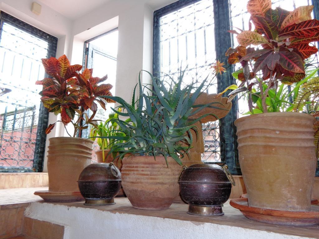 מרקש Riad Sesame מראה חיצוני תמונה